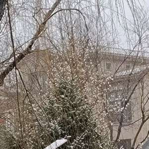 �������������