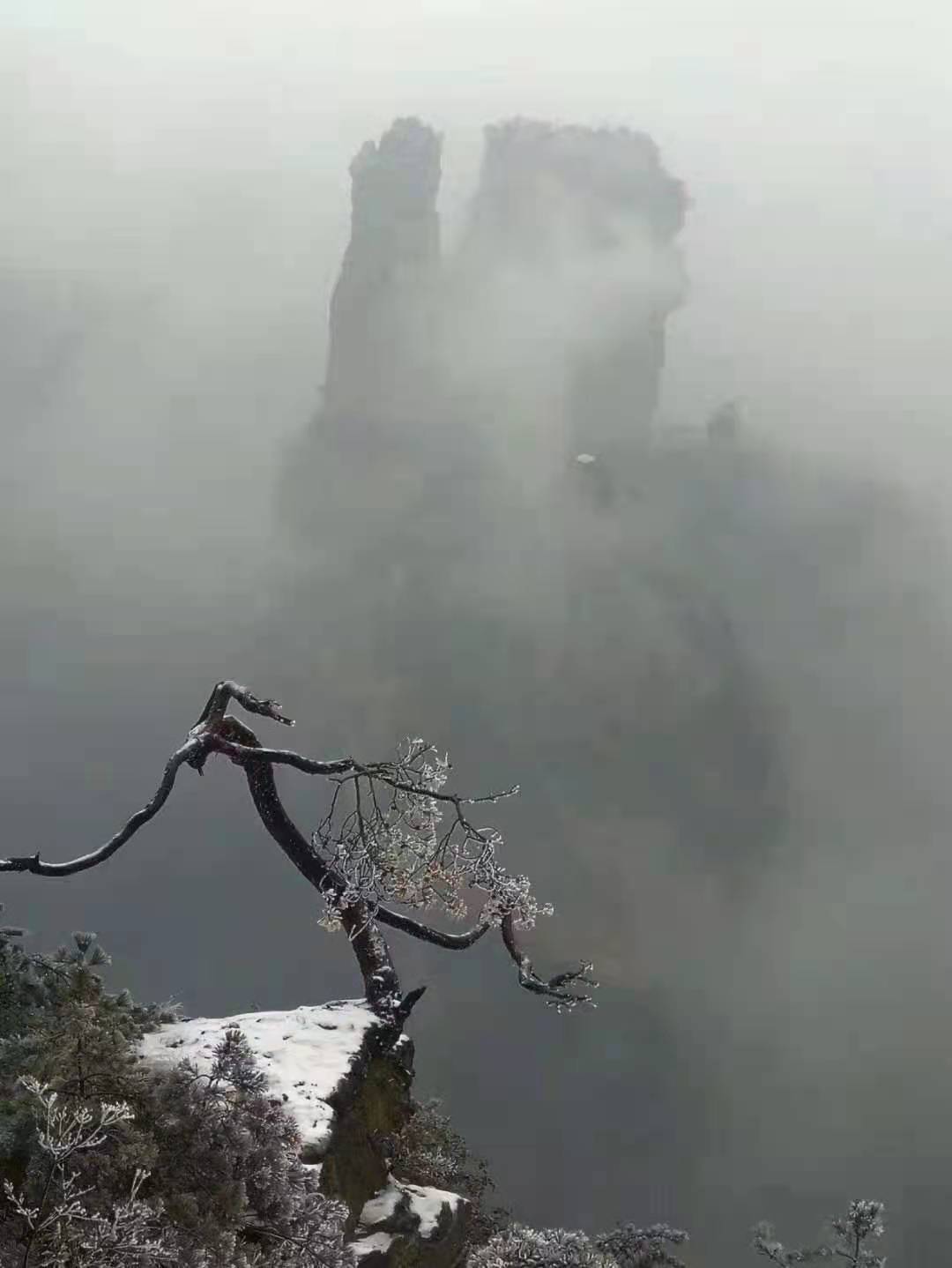 ΢��ͼƬ_20210124094428.jpg
