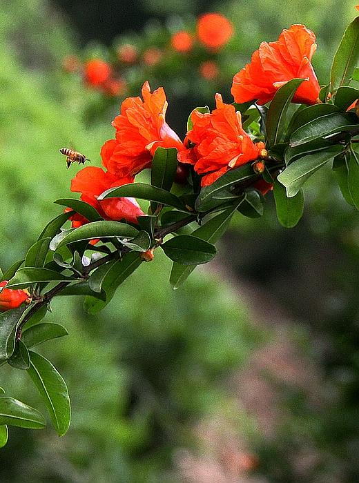 img.pconline.com (2).jpg