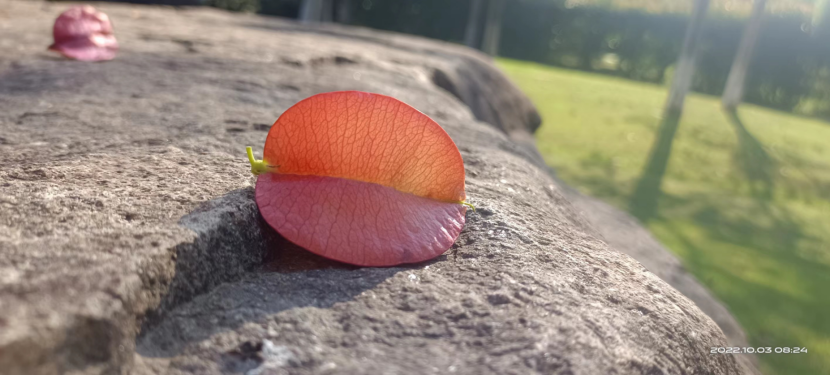 ΢��ͼƬ_20221003131735.png