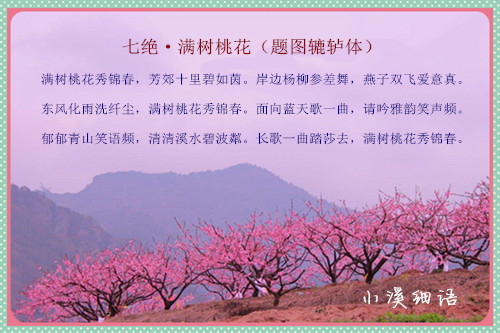 29cb11901f73bb4c6b48dd1d3e18d64e_����.jpg