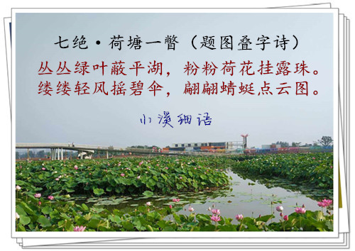 d8dcf9092fd719.jpg