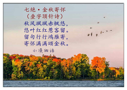 04155eab7bc44775d75.jpg