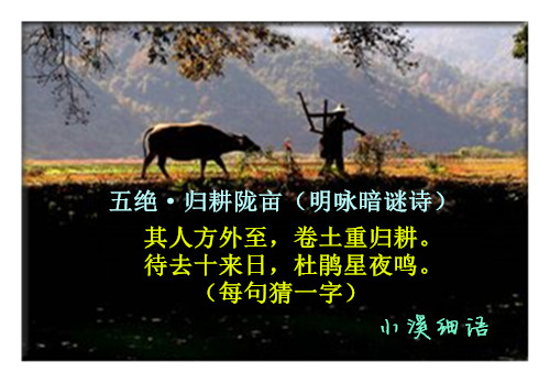 62e14163394754e4f4b0675cb059b7a8_����.jpg