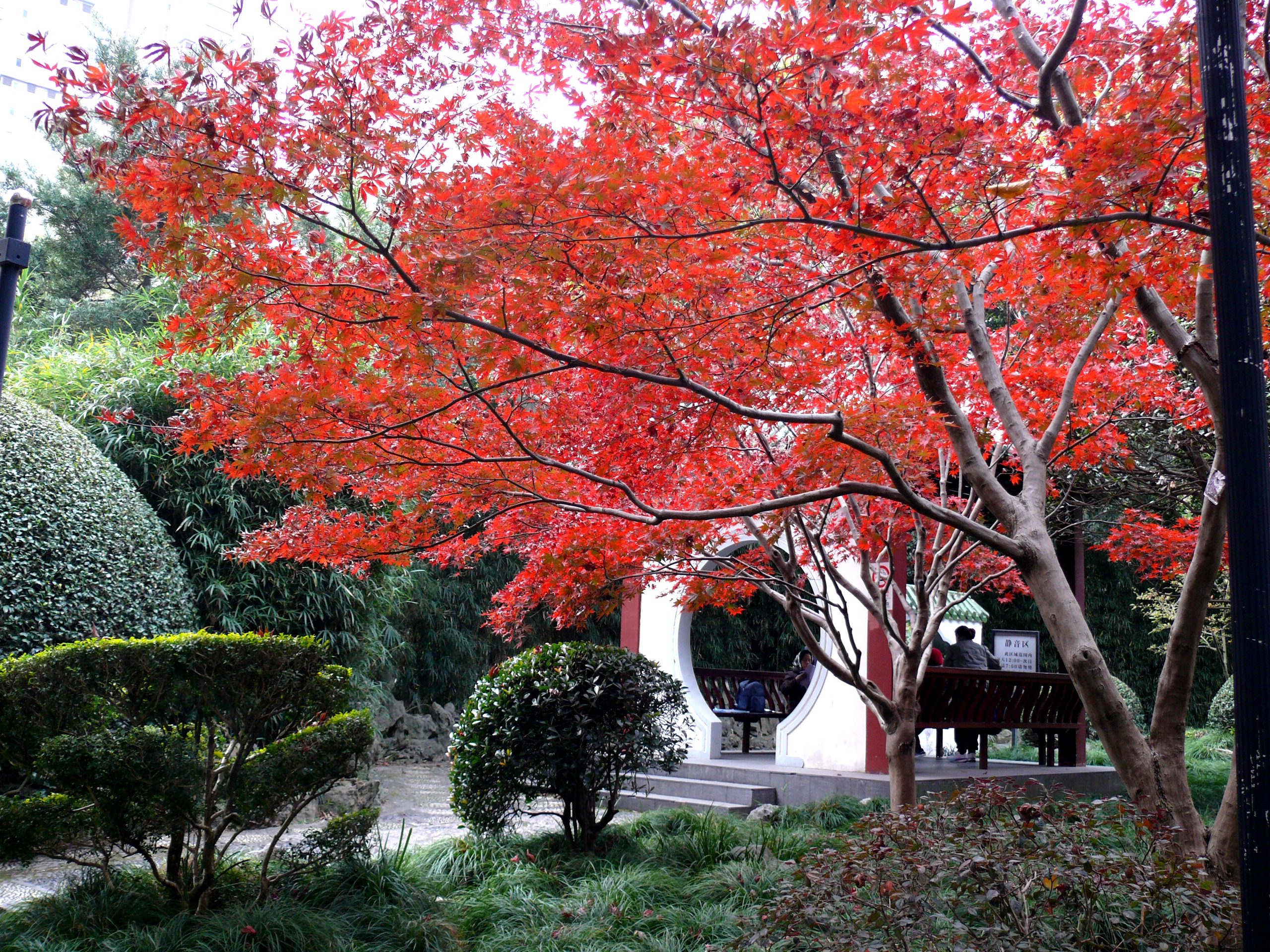 P1390026.JPG