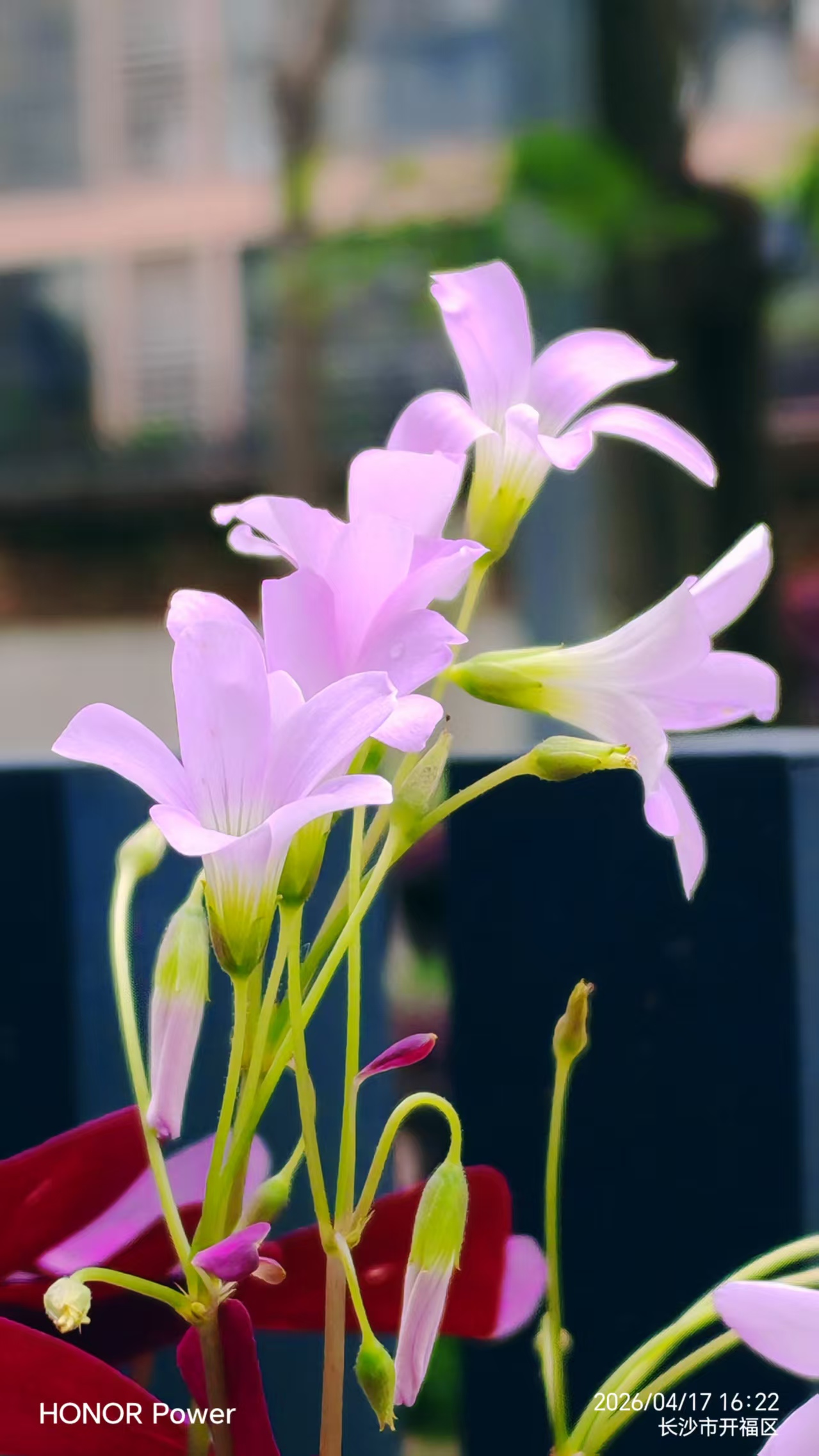 ΢��ͼƬ_20260418070511_267_8.jpg